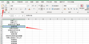 Office 2021 Excel如何连续锁定格式刷