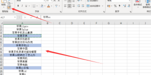 Office 2021 Excel如何连续锁定格式刷