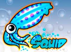Squid-cache