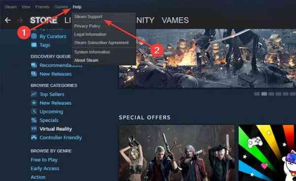 Steam-Support