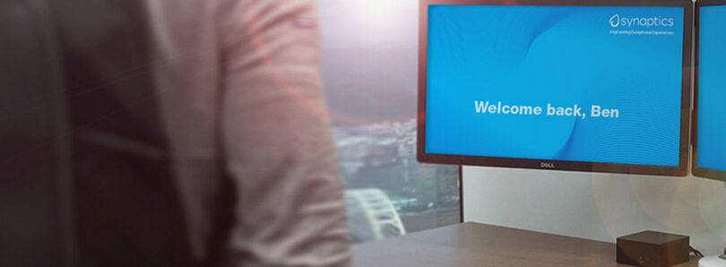 Synaptics-Gemini-810x298_c