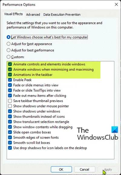 Turn-On-or-Off-Animation-Effects-Performance-Options