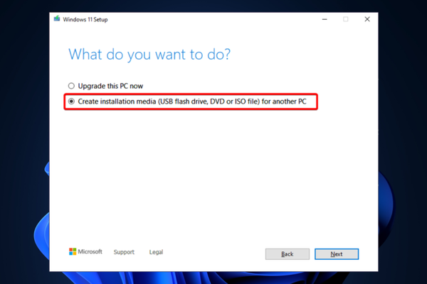 Untitled-design-65-1-1