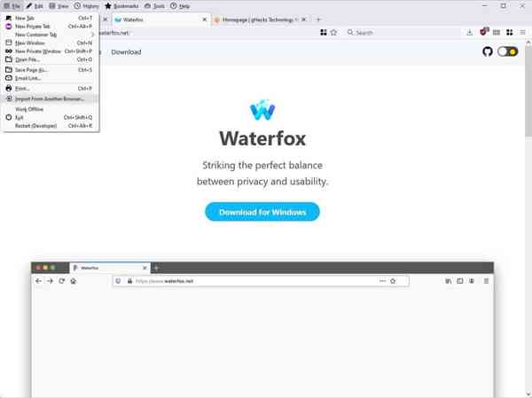 Waterfox-g4-lepton-theme-menu
