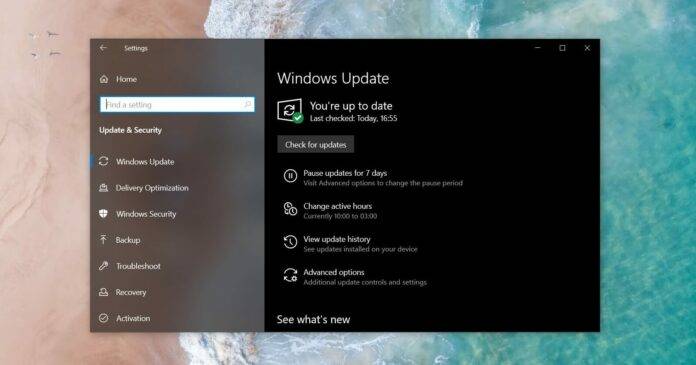 Windows-10-KB5001396-696x365-2