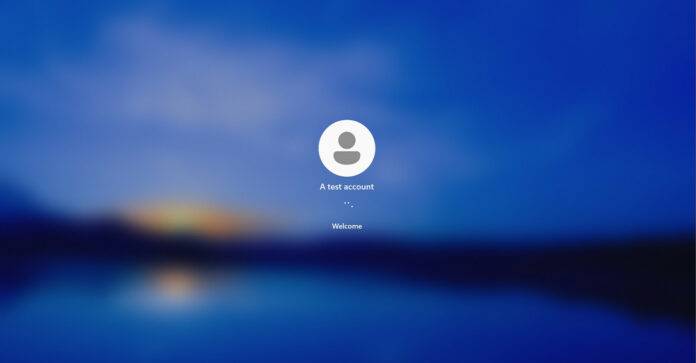 Windows-11-Spotlight-feature-696x363-1