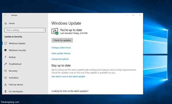 Windows-Update-check