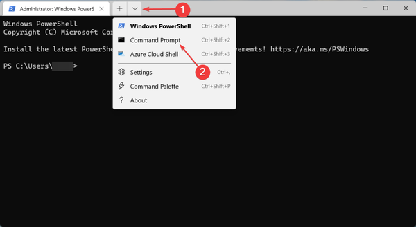 WindowsTerminal_Nmt5EstJJi