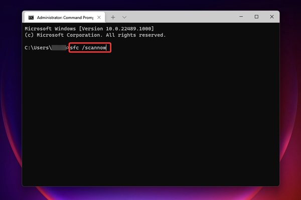 WindowsTerminal_RRDnojG9gz