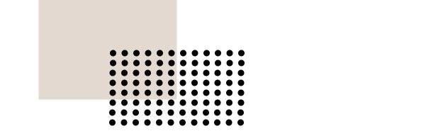 WordPress-5-6-4