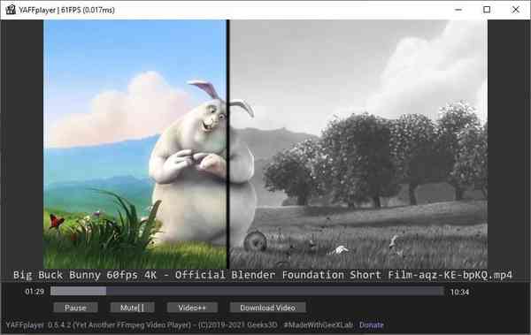 YAFFplayer-gray-video-filter-effect