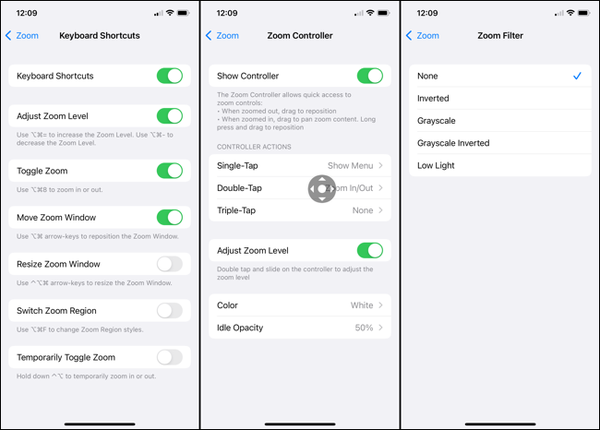 ZoomSettings-iPhoneMagnifyApp ZoomSettings-iPhoneMagnifyApp