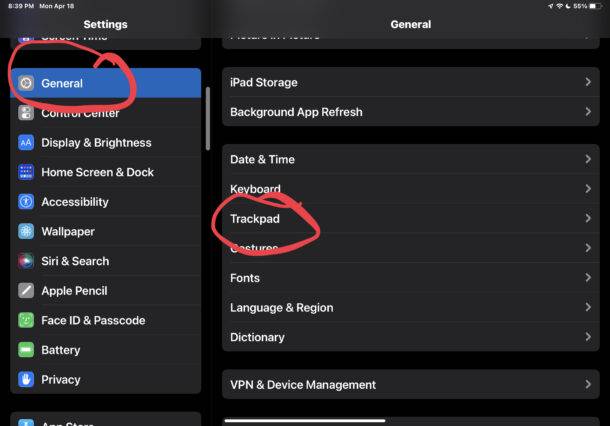 access-ipad-trackpad-settings-610x426-1