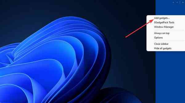 add-gadgets-option add-gadgets-option