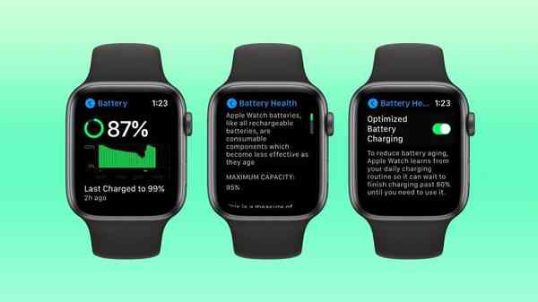 apple-watch-pro-battery