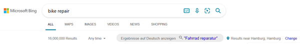 bing-translate-query-1639402968