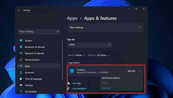 cortana-advanced-options