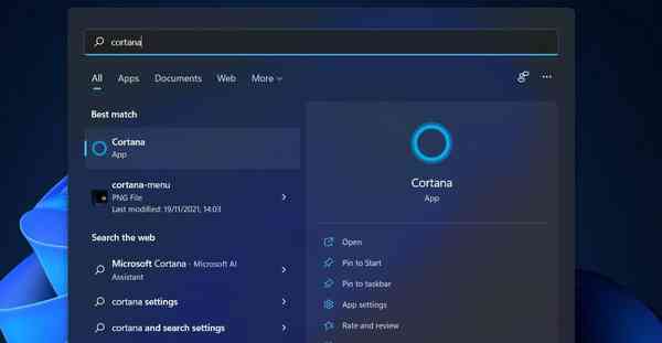 cortana-search