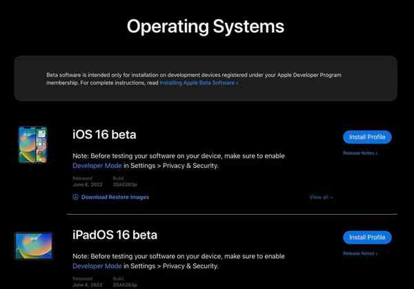 developer-1024x718-1