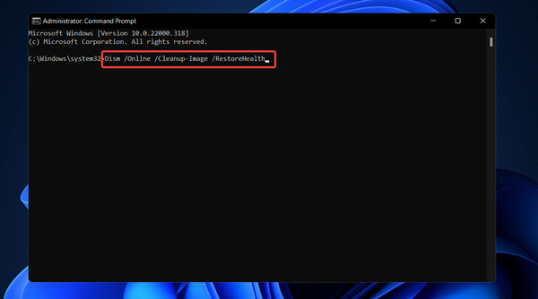 dims-command