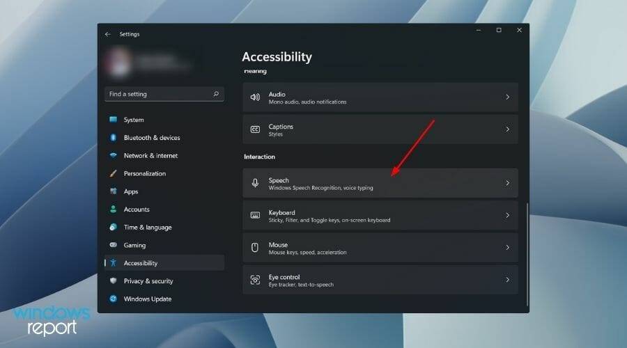 disable-speech-recognition-windows-11
