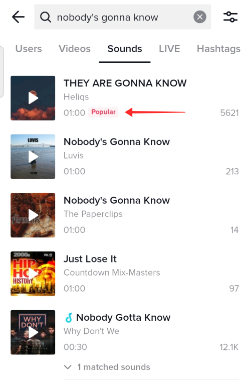 discover-tiktok-voiceover-sound-search