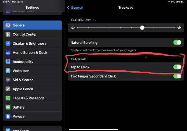 enable-tap-to-click-ipad-610x426-1