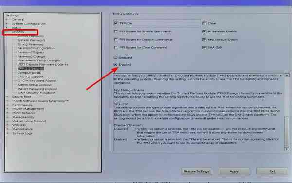 enabled-tpm-bios