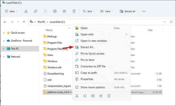 extract-all-w11