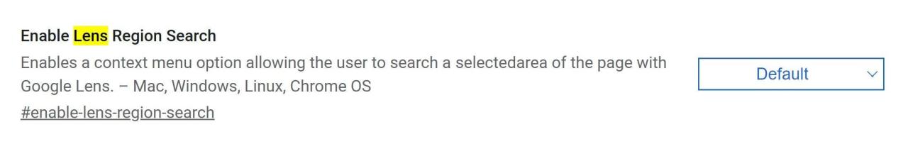 google-lens-search