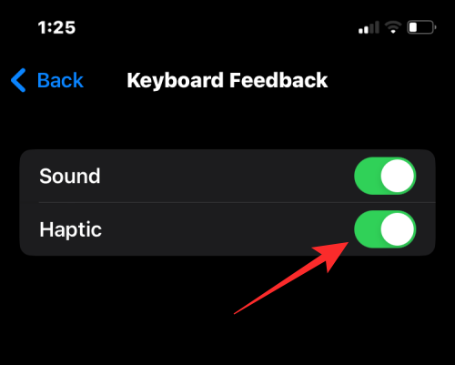 haptic-keyboard-on-ios-16-5-a