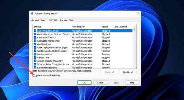 hide-all-microsoft-services-checkbox