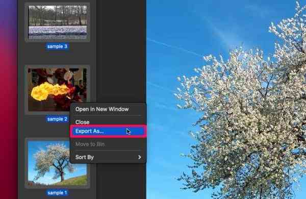 how-to-batch-convert-webp-to-jpg-mac-4-1-610x397-1 how-to-batch-convert-webp-to-jpg-mac-4-1-610x397-1