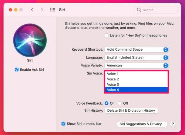 how-to-change-siri-voice-on-mac-3-610x445-1