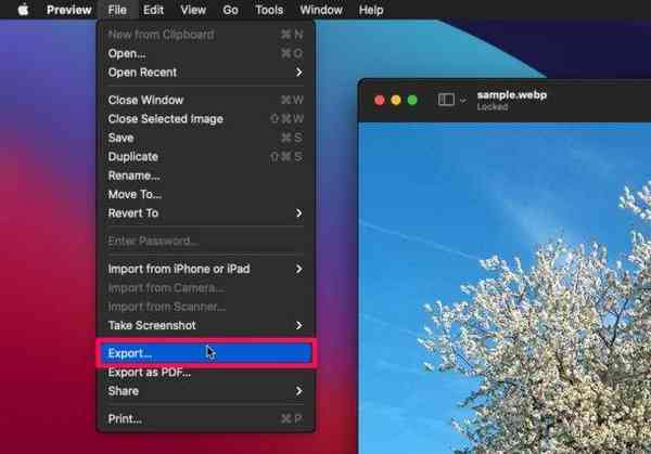 how-to-convert-webp-to-jpg-mac-preview-4-610x426-1