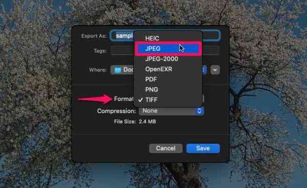 how-to-convert-webp-to-jpg-mac-preview-5-610x374-1