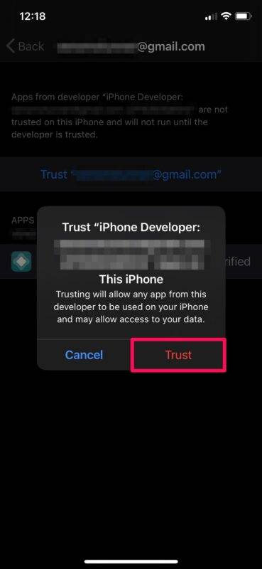 how-to-install-alt-store-iphone-ipad-11-369x800-1