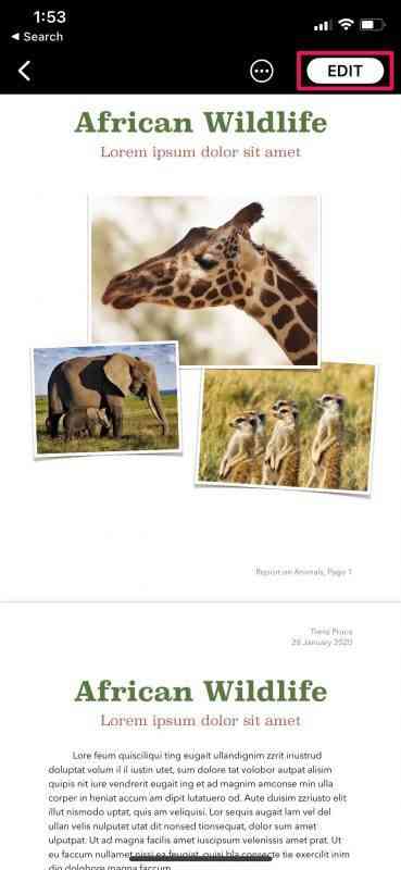 how-to-password-protect-pages-keynote-numbers-iphone-2-369x800-1