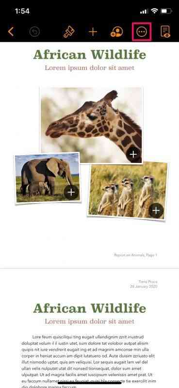 how-to-password-protect-pages-keynote-numbers-iphone-3-369x800-1