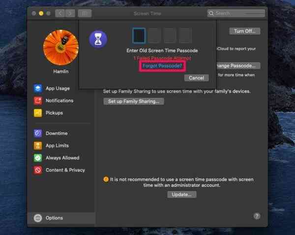 how-to-reset-screeen-time-passcode-mac-5-610x487-1