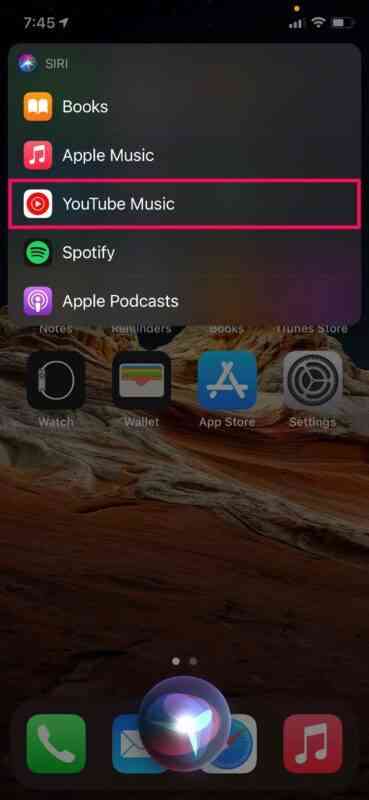 how-to-set-default-music-app-iphone-ipad-1-369x800-1