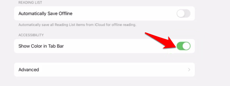 iPad-Accessibility-section-Show-Color-in-Tab-Bar iPad-Accessibility-section-Show-Color-in-Tab-Bar
