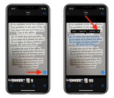 ios-15-translate-photos