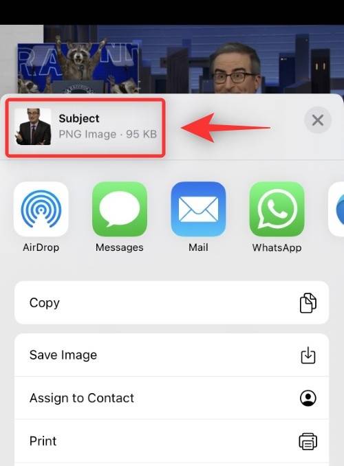 ios-16-how-to-extract-subject-from-video-8