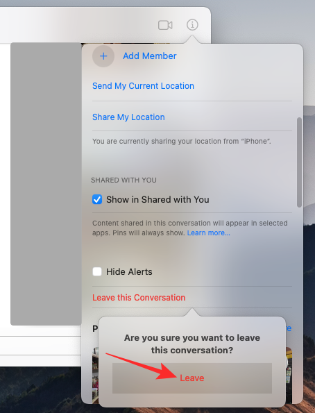 leave-a-group-text-on-imessage-mac-8-a leave-a-group-text-on-imessage-mac-8-a