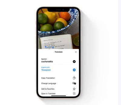 live-text-translate