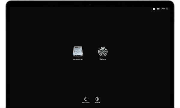 macos-big-sur-as-recovery-options