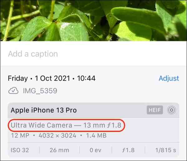 macro_photo_iphone