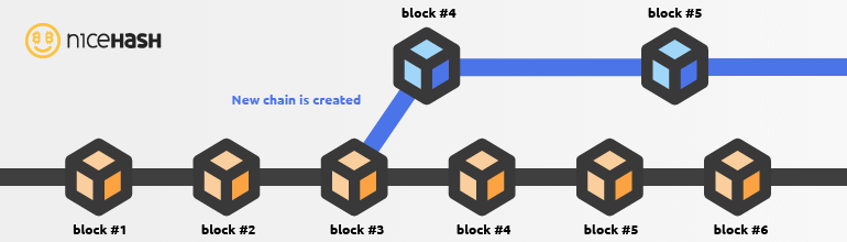 marketingforks_hardFork