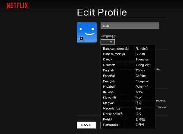 netflix-lang04-1024x753-1